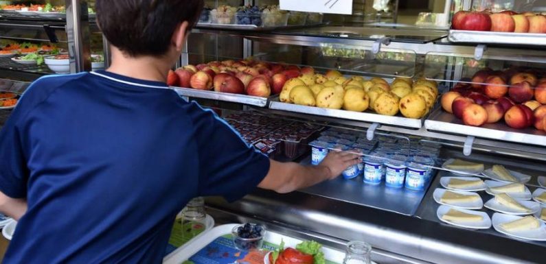 Petit-déjeuner gratuit à l’école: l’obésité s’invite dans le débat