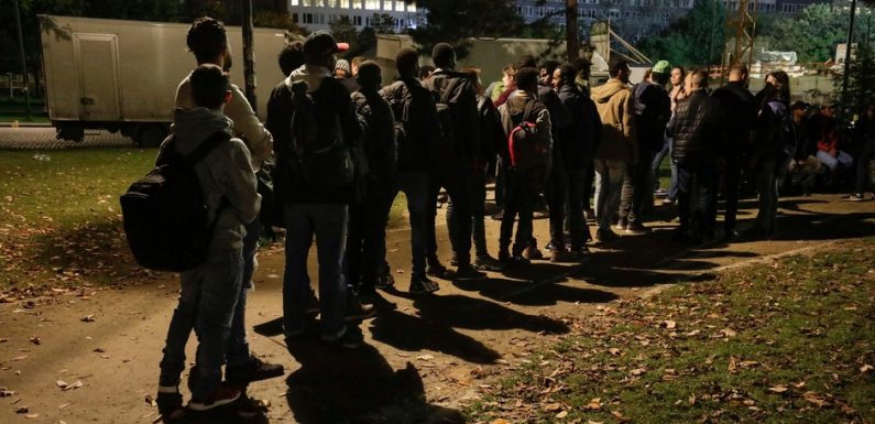 Un Belge sur deux approuve le renvoi des réfugiés vers des pays dictatoriaux
