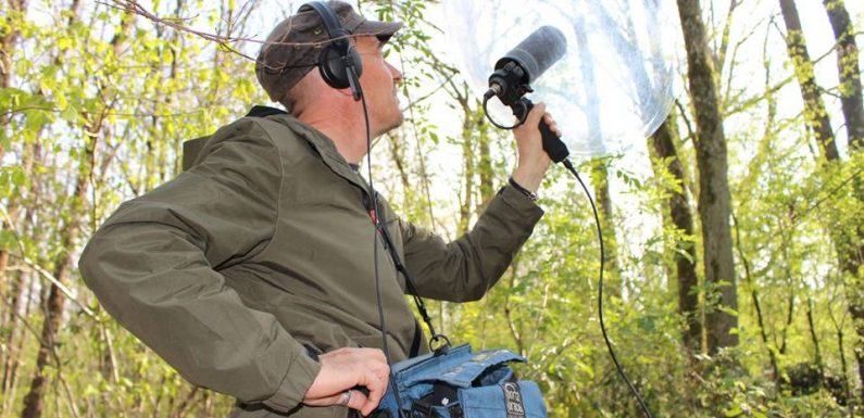 VIDEO. Environnement: De l’orage aux micro-insectes, Boris Jollivet capte les sons de la nature