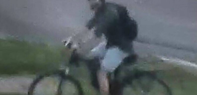 VIDEO. Explosion à Lyon: La laborieuse traque du suspect se poursuit dimanche