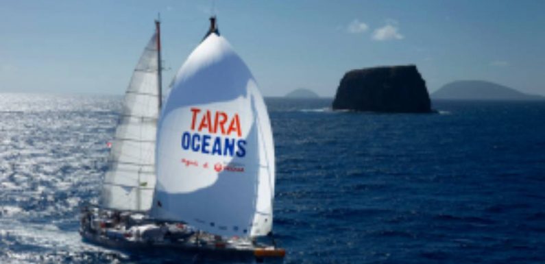 VIDEO. La goélette scientifique Tara repart pour une mission en mer aux origines de la pollution plastique
