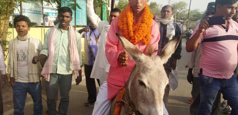 Inde Un candidat aux élections législatives accusé de cruauté envers un âne