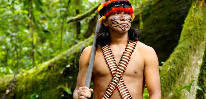 URGENT : soutenez l’appel des Indiens d’Amazonie à l’ONU
