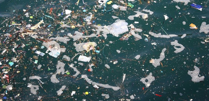 10 % des bactéries qui produisent l’oxygène que l’on respire meurent à cause du plastique