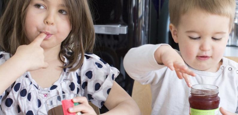 L’Agence de sécurité sanitaire préconise de réduire « en urgence » la consommation de sucres chez les enfants