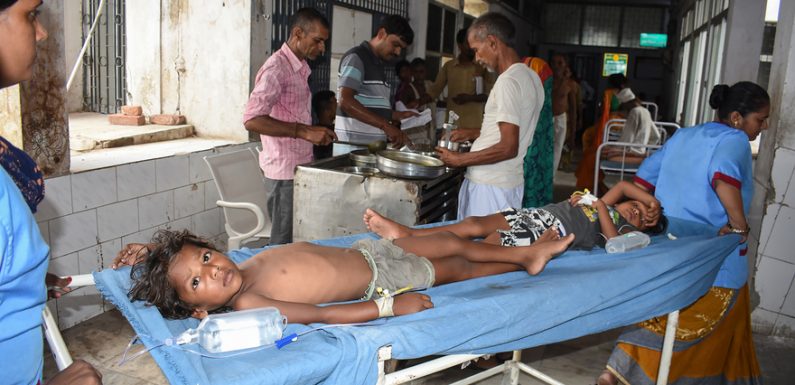Inde : 118 enfants meurent d’encéphalites aïgues à cause des litchis