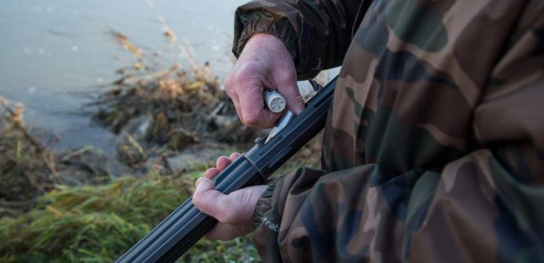 Le braconnier tire sur photographe animalier qu’il avait pris pour un renard