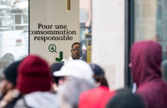 Légalisation du cannabis: A quoi ça pourrait ressembler en France?