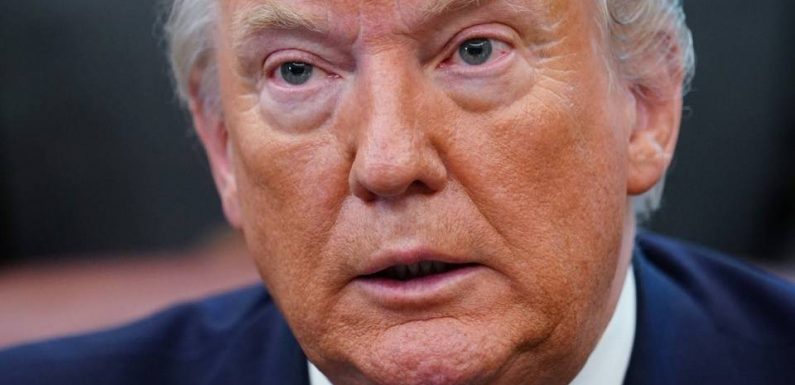 Trump, Bolsonaro… Twitter durcit le ton contre les publications de certains responsables politiques