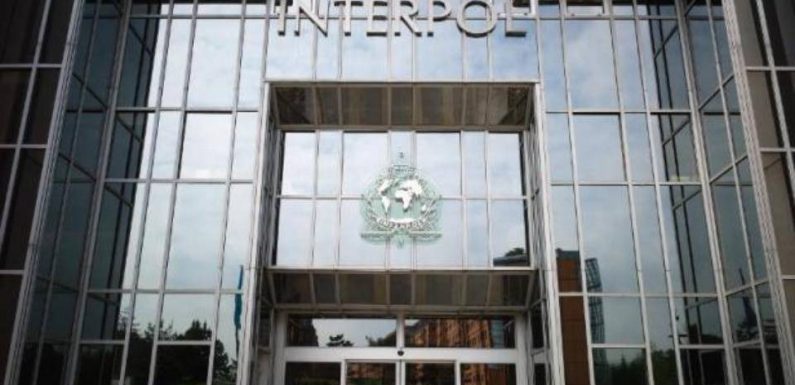 Interpol: 672 arrestations dans une opération internationale visant des boissons et des aliments frelatés