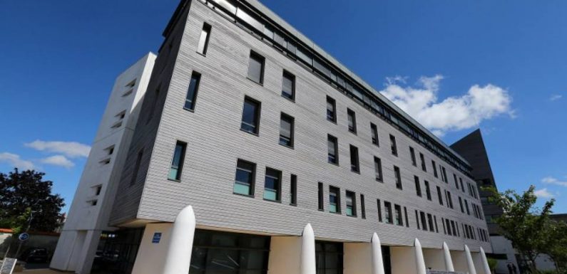 Affaire Vincent Lambert: Nouvelle audience cruciale en vue d’un arrêt des traitements