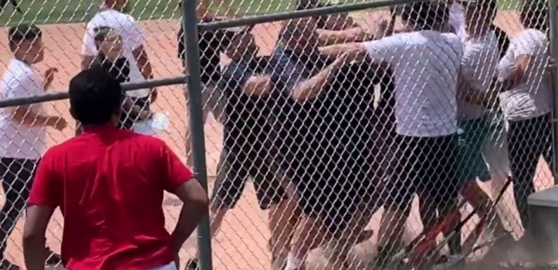 VIDEO. Bagarre générale entre parents à un match de baseball d’enfants de 7 ans