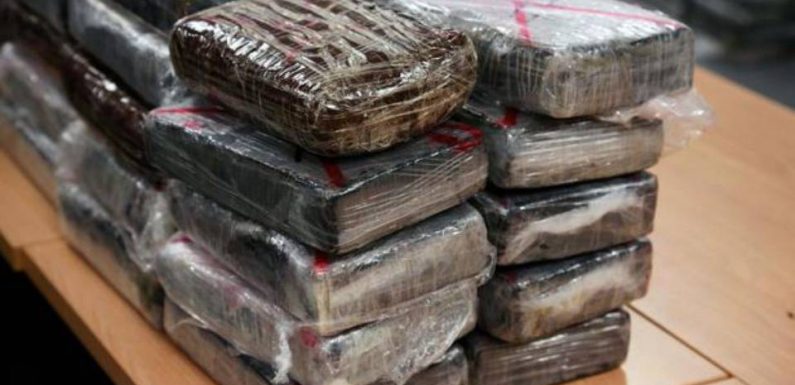 Lyon: Trois ans de prison pour un homme transportant quatre kilos de cocaïne dans une voiture diplomatique du Vatican