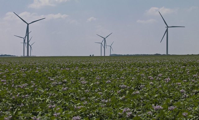 Les Hauts-de-France ont-ils besoin des éoliennes de Dunkerque ?