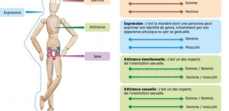 Imposer au lycéen une auto-dissection selon les dogmes de l’idéologie du genre