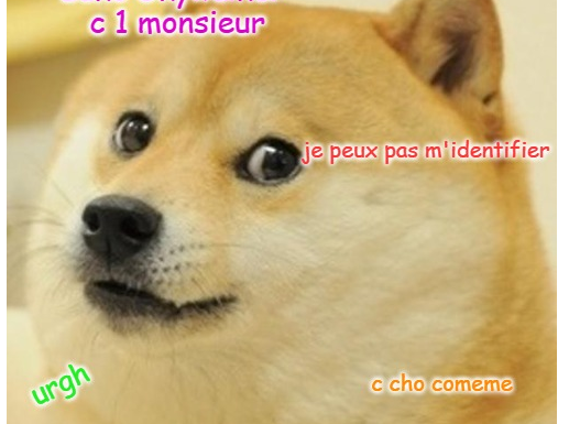 Scoop ! On peut désormais être sexiste en choisissant le mauvais chat