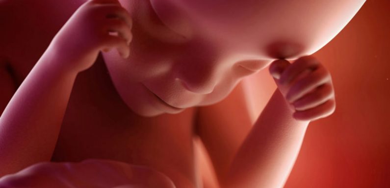 Italie : le foetus désormais considéré comme une personne dès le travail d’accouchement et non plus seulement à partir de la naissance