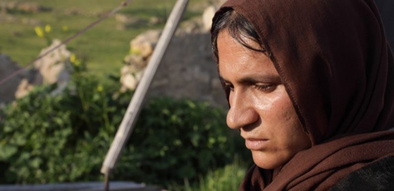 Irak : après les massacres du Sinjar, le traumatisme des Yazidis