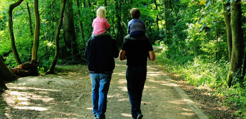 Une première historique pour la reconnaissance en France des enfants nés par GPA à l’étranger