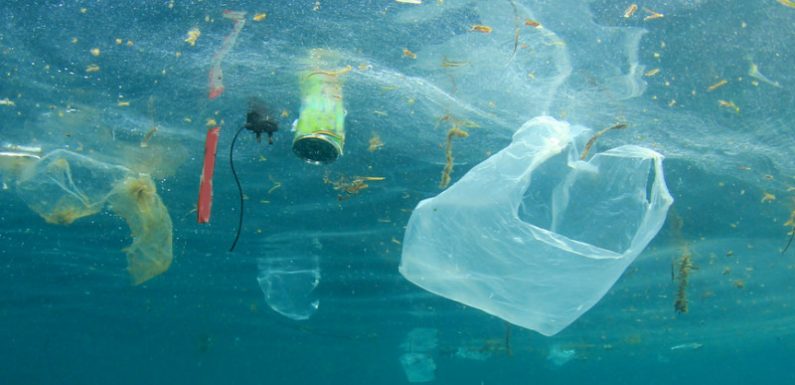 Pollution plastique : des drones sous-marins capables d’aspirer les déchets des océans