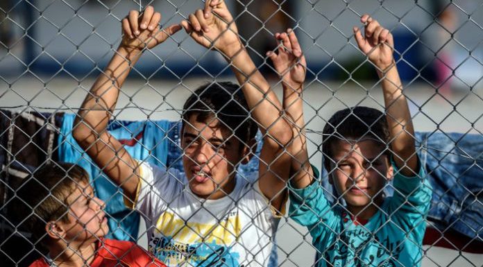 Some 415,000 Syrian babies born in Turkey since 2011: official