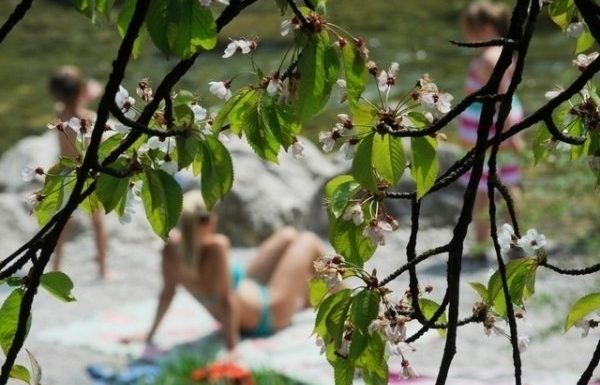 A Munich, les seins nus créent la polémique
