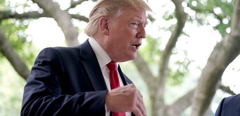 EXCLUSIVE: Trump says it’s not appropriate for Megan Rapinoe to protest during national anthem