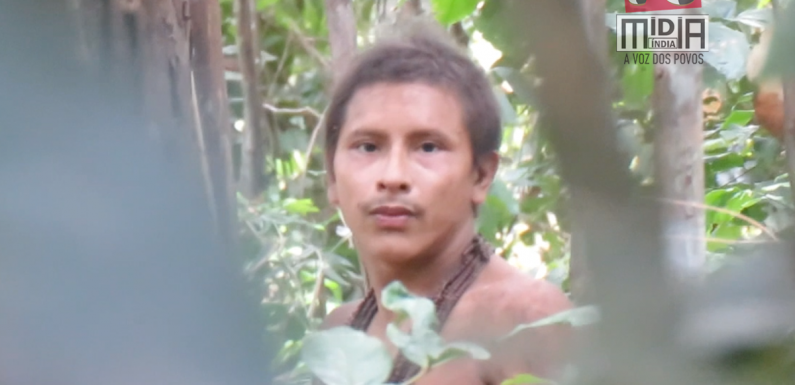 Astonishing video of uncontacted Indians released as loggers close in