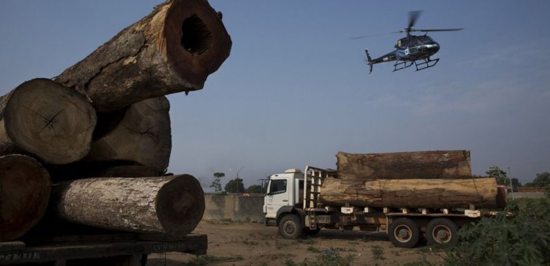 Brésil : comme promis, Bolsonaro accélère la déforestation en Amazonie