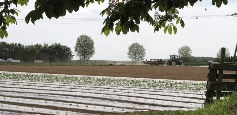 L&rsquo;agriculture française portée par une forte hausse de la production de vin en 2018