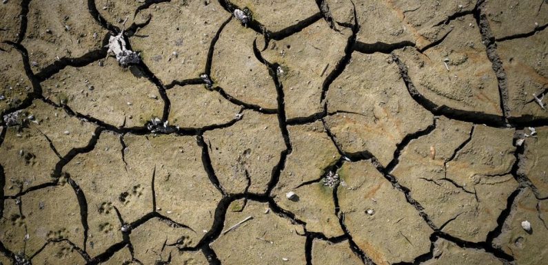 En France, «l’eau pourrait aussi venir à manquer dans des villes»