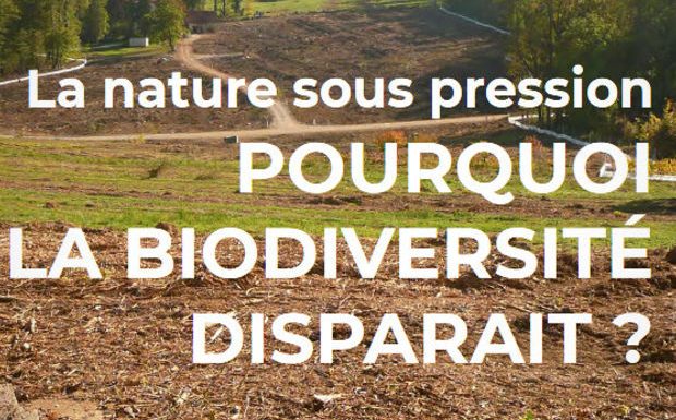 La biodiversité française sous pression