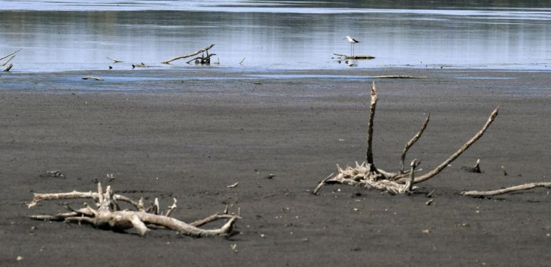 Sécheresse : «La reconnaissance comme catastrophe naturelle est rare»