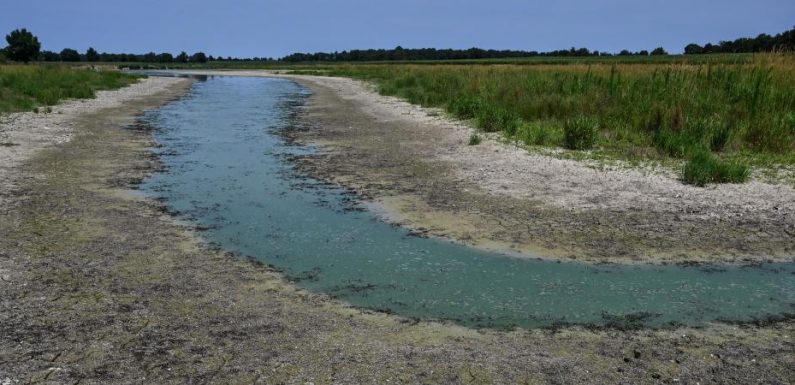 Sécheresse : « L&rsquo;état des nappes phréatiques est très inquiétant », alerte une hydrogéologue