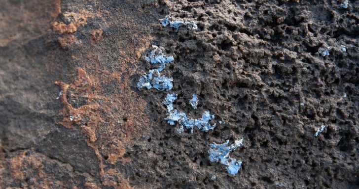 Le plastique dans nos mers s’incruste dans les roches : bienvenue dans l’ère des Hommes