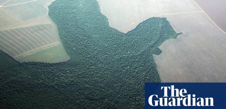Amazon deforestation accelerating towards unrecoverable ‘tipping point’