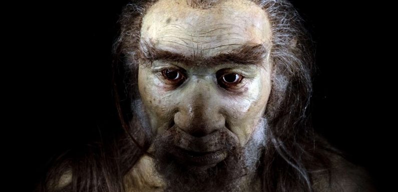 Le plus vieil Homo sapiens d’Europe serait arrivé en Grèce il y a 210.000 ans