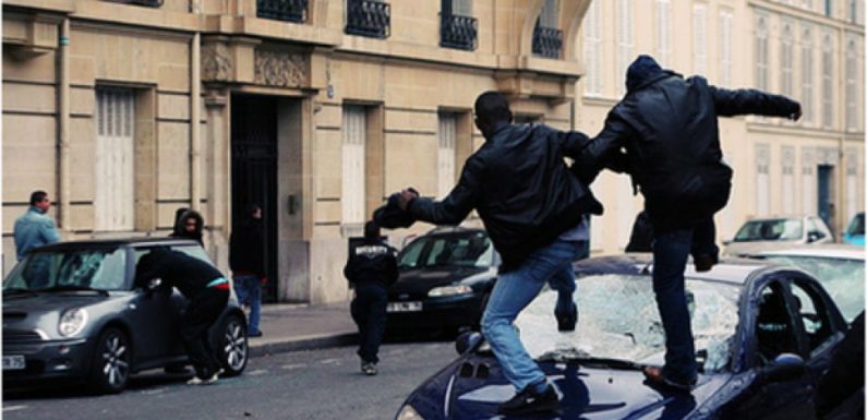 L’ensauvagement pour tous