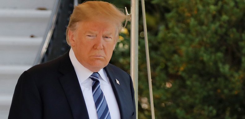 «Vous perdez votre culture» : l’immigration changera l’Europe à jamais, selon Donald Trump
