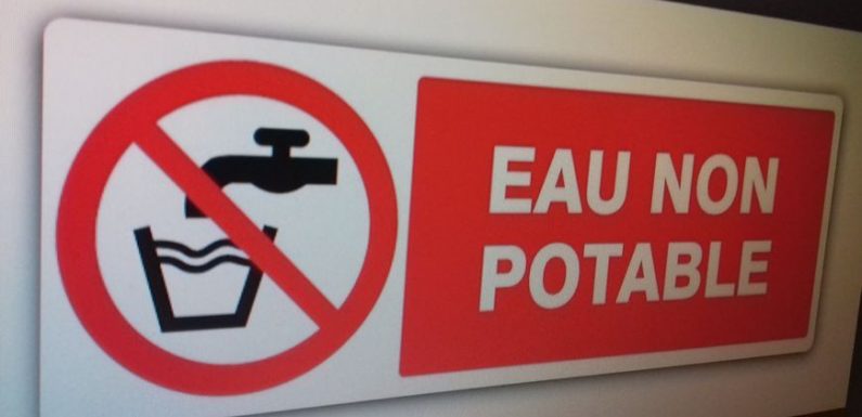 Trop basses, les nappes phréatiques du Roussillon polluées par l’eau de mer