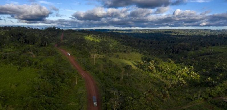 Brésil: Un leader indigène tué après l’attaque d’un village par des mineurs