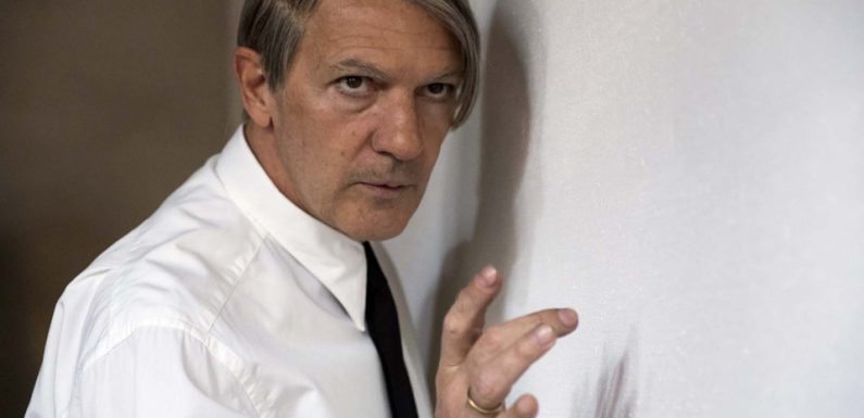 VIDEO. Les replays de la semaine: Un docu sur le «droit au plaisir»… Antonio Banderas dans la peau de Picasso…