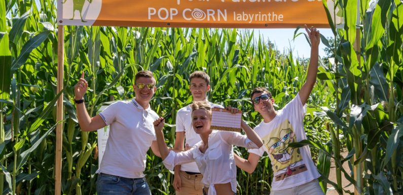 La société Pop Corn veut conquérir la France avec ses labyrinthes géants de maïs