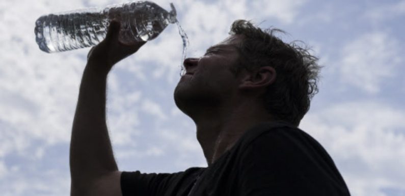Canicule: La France suffoque, les températures au maximum ce jeudi