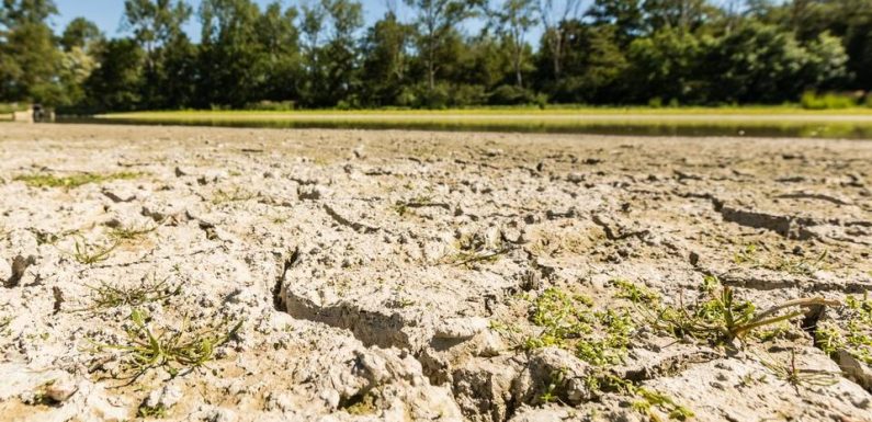 Paris: Restriction d’eau dans cinq départements franciliens à cause de la sécheresse