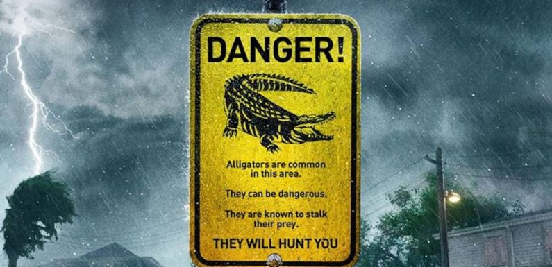VIDEO. Films de crocodiles: «Crawl» peut-il sauver une espèce en voie d’extinction?