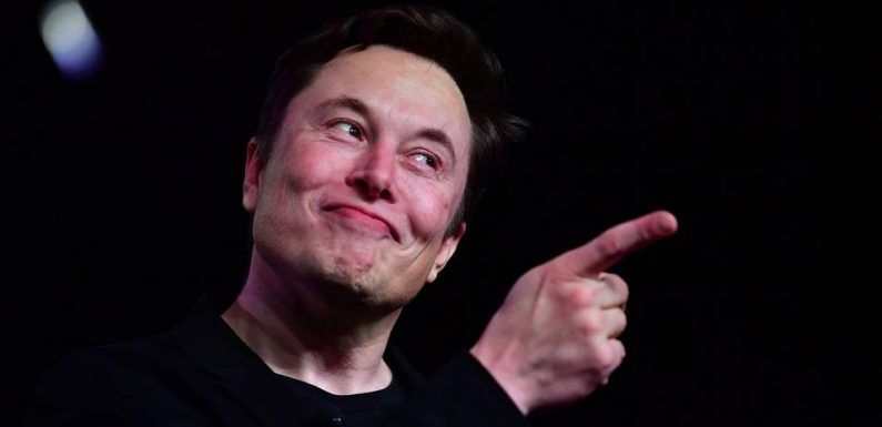 PODCAST. «Minute Papillon !» : Elon Musk a le cerveau en ébullition, la «Red Team» s’engage dans l’armée