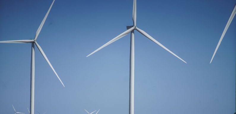 VIDEO. Jour du dépassement: Cinq mesures pour retarder la date fatidique