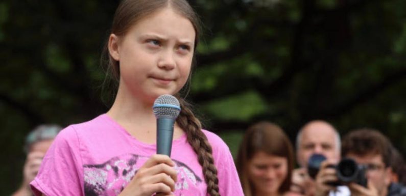 QUIZ. Greta Thunberg à l’Assemblée: Quelles stars ont déjà été invitées par les députés ?