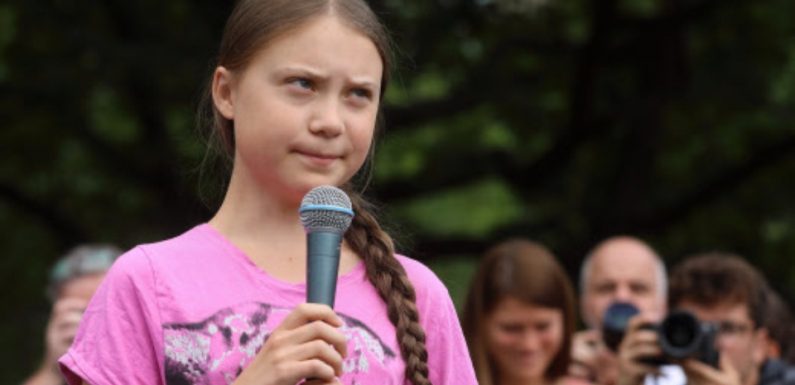 Greta Thunberg en France: «Elle nous apporte de la visibilité», explique une membre de Youth for climate